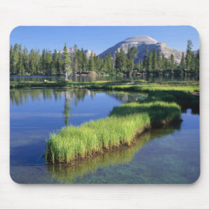 Mousepad SERRA UINTAS ALTA, FLORESTA NACIONAL, UT, EUA, pen