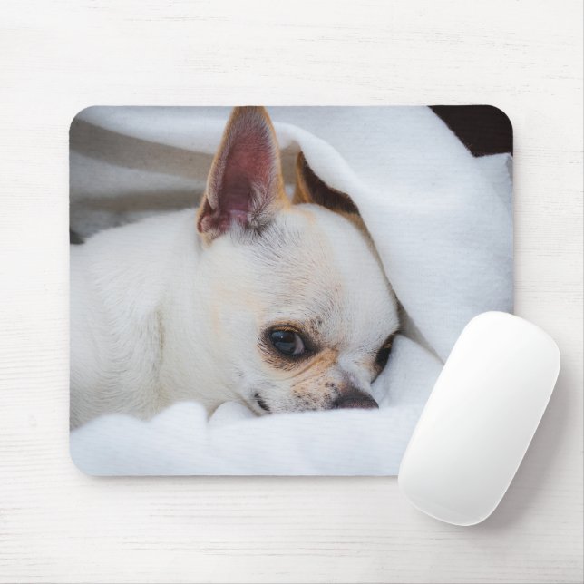 Mousepad Seu cachorrinho de estimação foto personalizada ch (Com mouse)