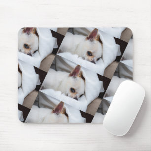 Mousepad Seu cachorro de estimação, foto personalizada, pad