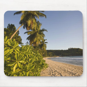 Mousepad Seychelles, Ilha de Mahe, praia de Anse Takamaka,