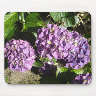 Mousepad Shades of Purple Hydrangea