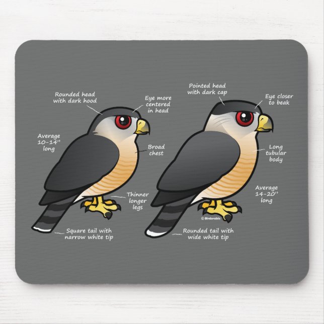 Mousepad Sharpie da capoeira v (Frente)