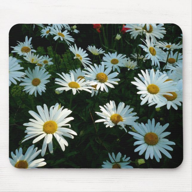 Mousepad Shasta Daisies II (Frente)