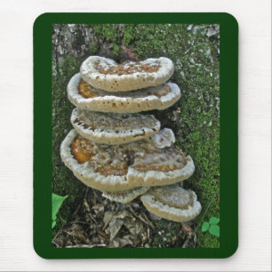 Mousepad Shelf Fungi em Stump