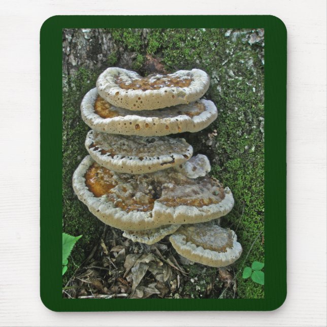 Mousepad Shelf Fungi em Stump (Frente)