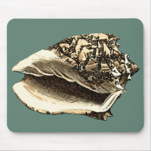Mousepad Shell de Conch Teal
