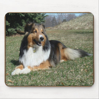 Mousepad sheltie_mpad4