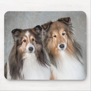 Mousepad Shelties