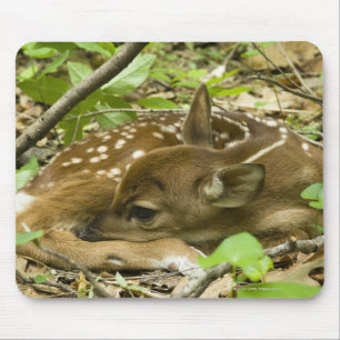 Mousepad Shenandoah NP, Virgínia, EUA