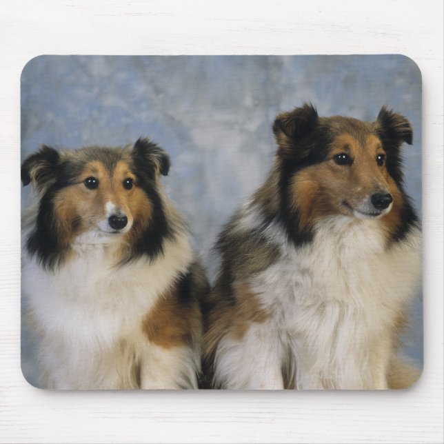 Mousepad Shetland Sheepdog (Frente)