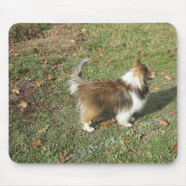 Mousepad Shetland Sheepdog Completo Segundo (Frente)