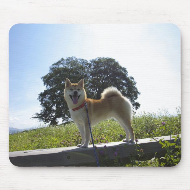 Mousepad Shiba Inu (Frente)