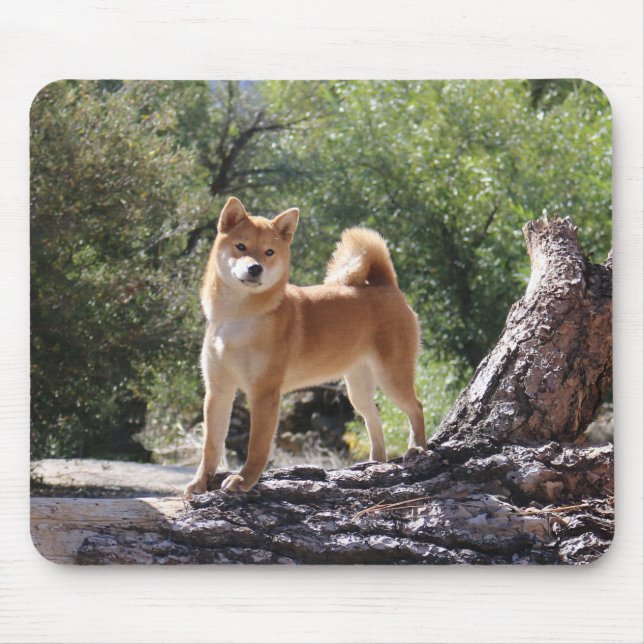 Mousepad Shiba Inu (Frente)
