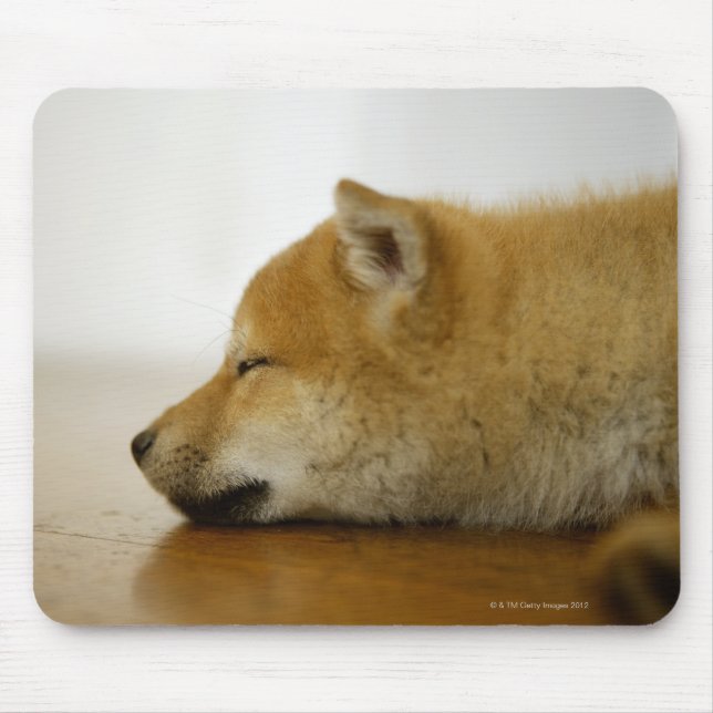 Mousepad Shiba-ken de dormir 3 (Frente)