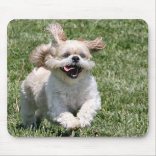 Mousepad Shih running feliz Tzu