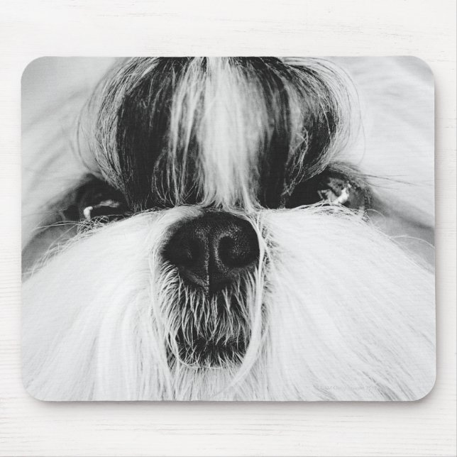 Mousepad Shih Tzu (Frente)