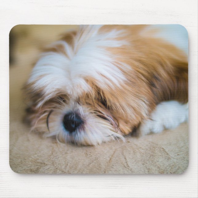 Mousepad Shih Tzu (Frente)