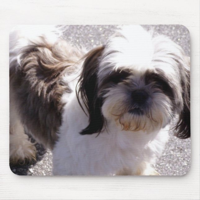 Mousepad Shih-Tzu (Frente)