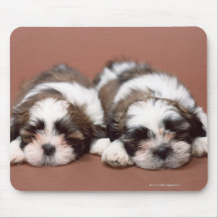 Mousepad Shih Tzu