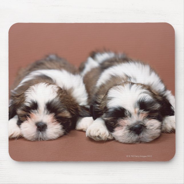 Mousepad Shih Tzu (Frente)