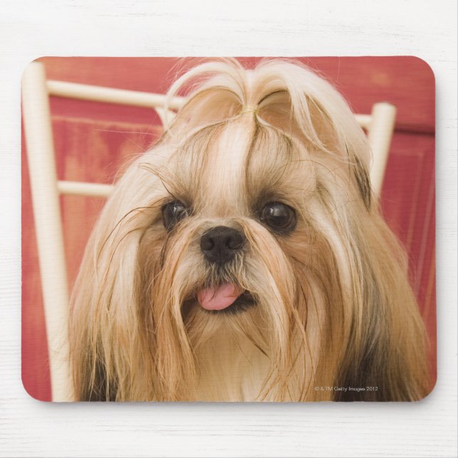 Mousepad Shih-tzu cão (Frente)