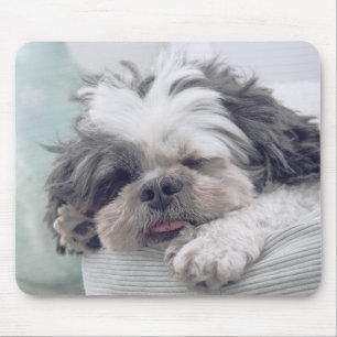 Mousepad shih tzu, cão, animal de estimação