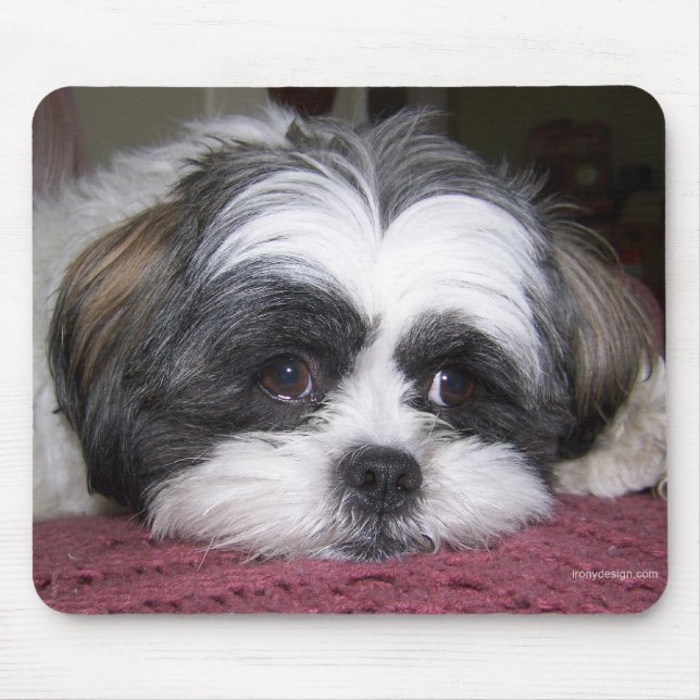 Mousepad Shih Tzu Dog (Frente)