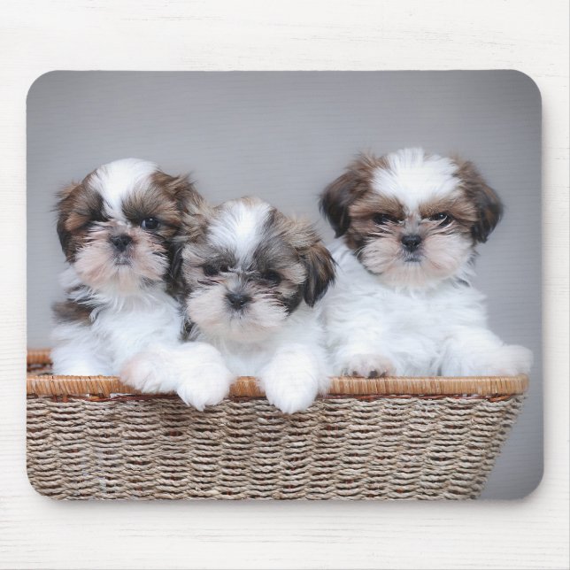 Mousepad Shih Tzu puppies (Frente)