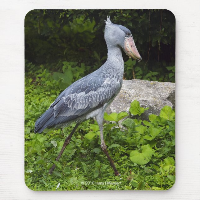 Mousepad Shoebill (Frente)
