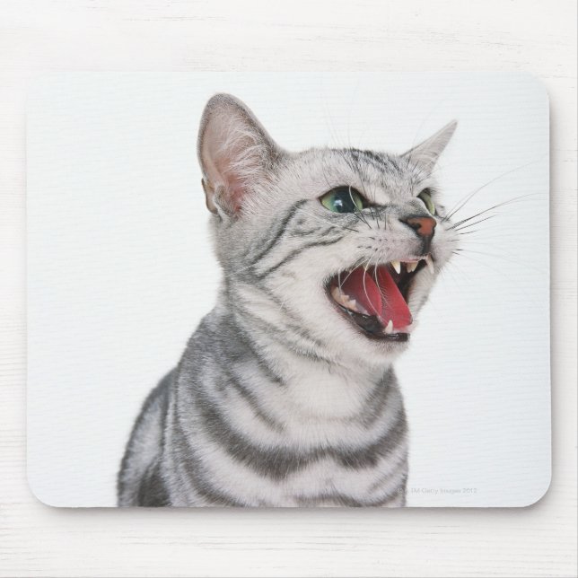 Mousepad Shorthair 6 Americano (Frente)