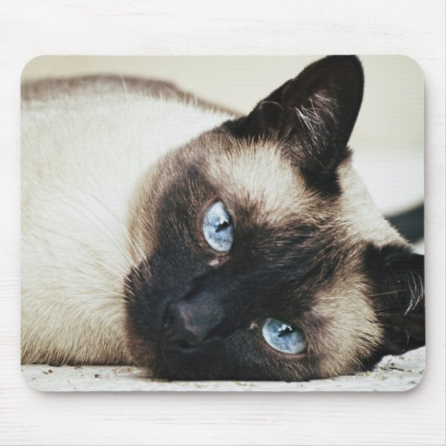Mousepad Siamese Cat (Frente)
