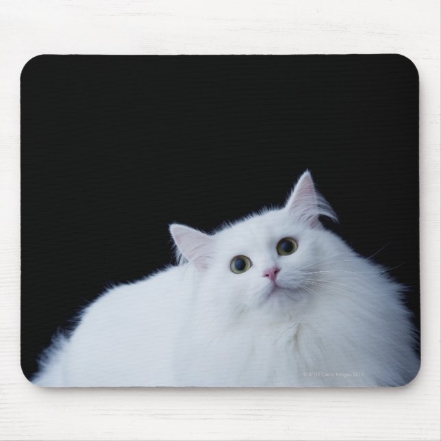 Mousepad Siberian Cat (Frente)