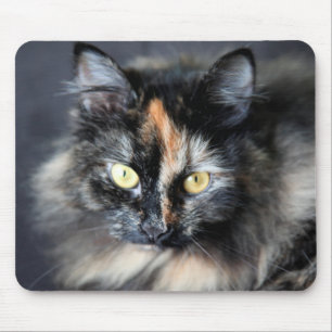 Mousepad Siberian Cat