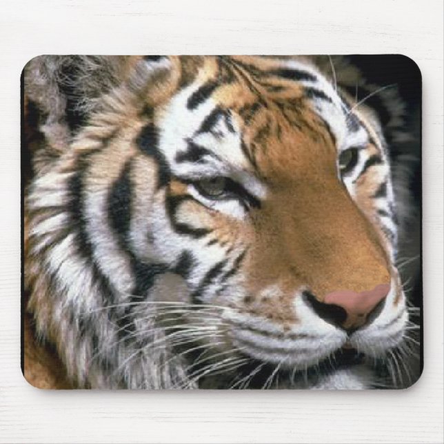 Mousepad Siberian Tiger Lovers Art (Frente)