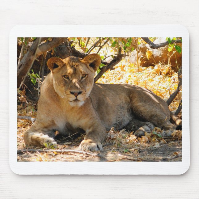 Mousepad Siesta Time (Frente)