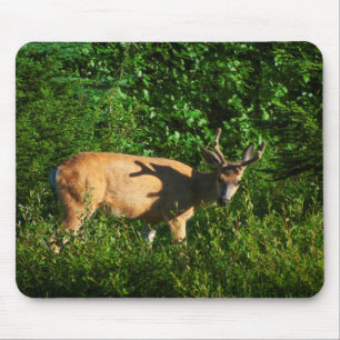 Mousepad Siga em Frente