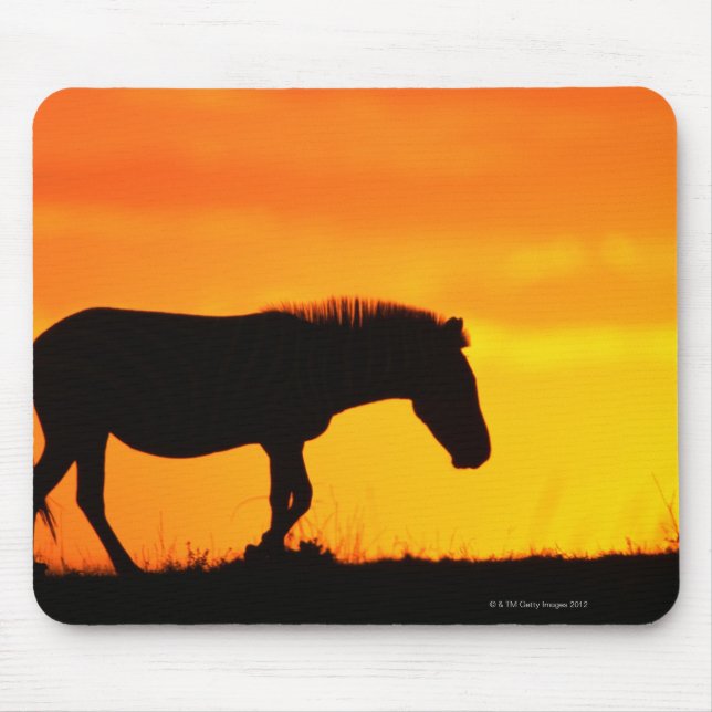 Mousepad Silhouette de zebra em savana (Frente)