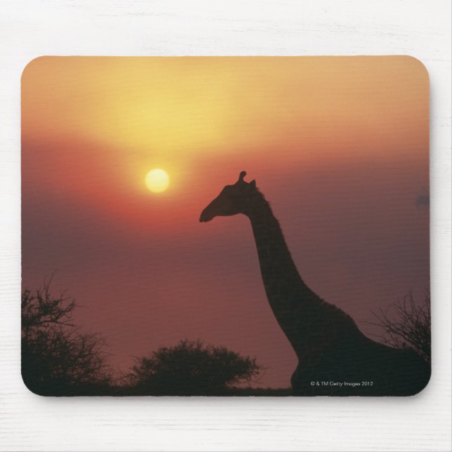Mousepad Silhouette of Giraffe (Giraffa Camelopardalis) (Frente)