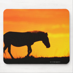 Mousepad Silhueta da zebra no savanna