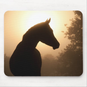 Mousepad Silhueta de Cavalo no amanhecer