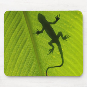 Mousepad Silhueta do geco