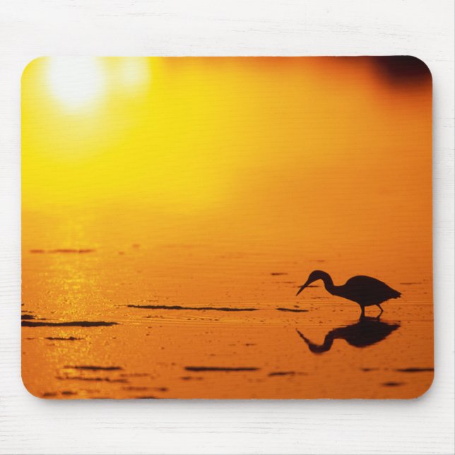 Mousepad Silhueta Heron no pôr do sol, Flórida (Frente)