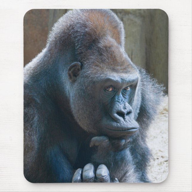Mousepad Silverback Fazendo uma Pose (Frente)