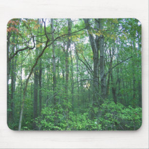 Mousepad Silvicultura da queda
