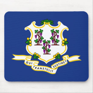 Mousepad Sinalizador do Estado de Conexão