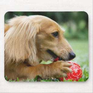 Mousepad Singapore 10