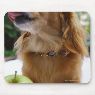 Mousepad Singapore 5