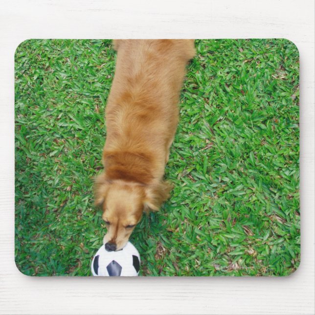 Mousepad Singapura 4 (Frente)
