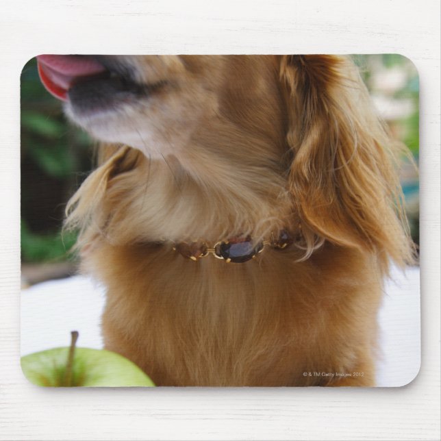 Mousepad Singapura 5 (Frente)