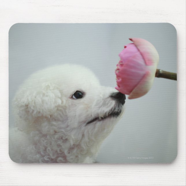 Mousepad Singapura 9 (Frente)